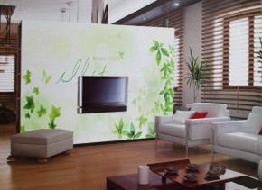 墙艺品牌加盟，尚美墙艺享绿色生活！