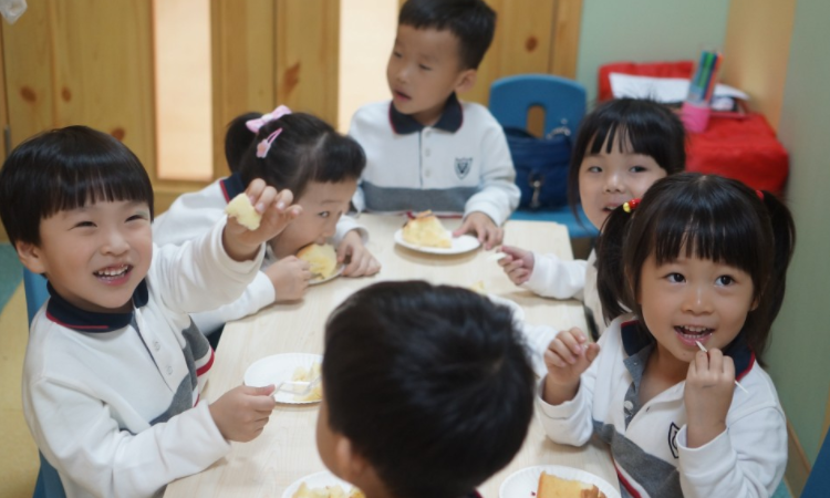 上海维多利亚幼儿园加盟